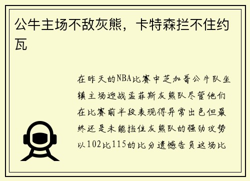 公牛主场不敌灰熊，卡特森拦不住约瓦
